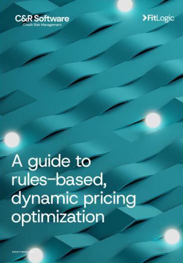 a guide to rules based dynamic pricing cover page