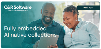 Fully embedded AI native collections